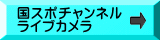 大会結果速報